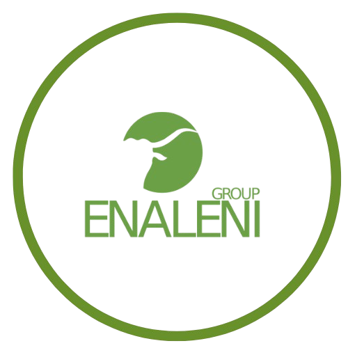Enaleni Group Logo
